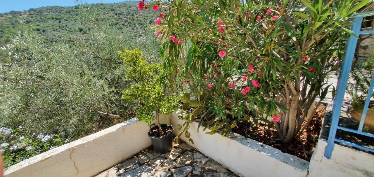 Maison Charme Avec Piscine Privee, Pres De La Mer A Sappounakeika, Tyros Sapounakeika Esterno foto